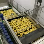 veg dryer