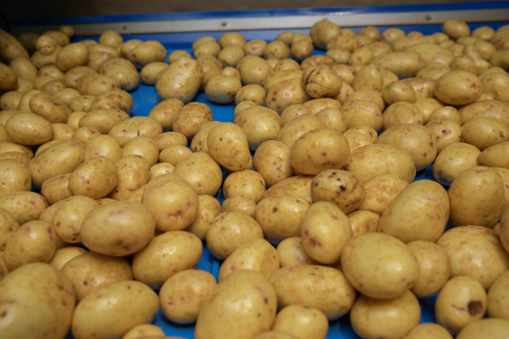 Tong TPS Pro Polisher Potato Carrot Parsnip Polisher polished potatoes