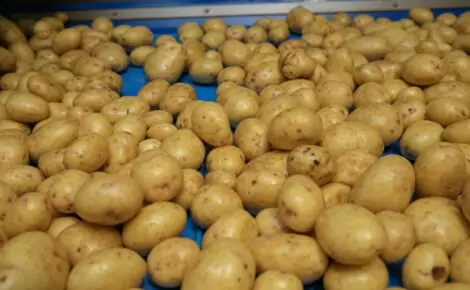 Tong TPS Pro Polisher Potato Carrot Parsnip Polisher polished potatoes