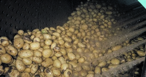 booster-spray-bar Potatoes washing