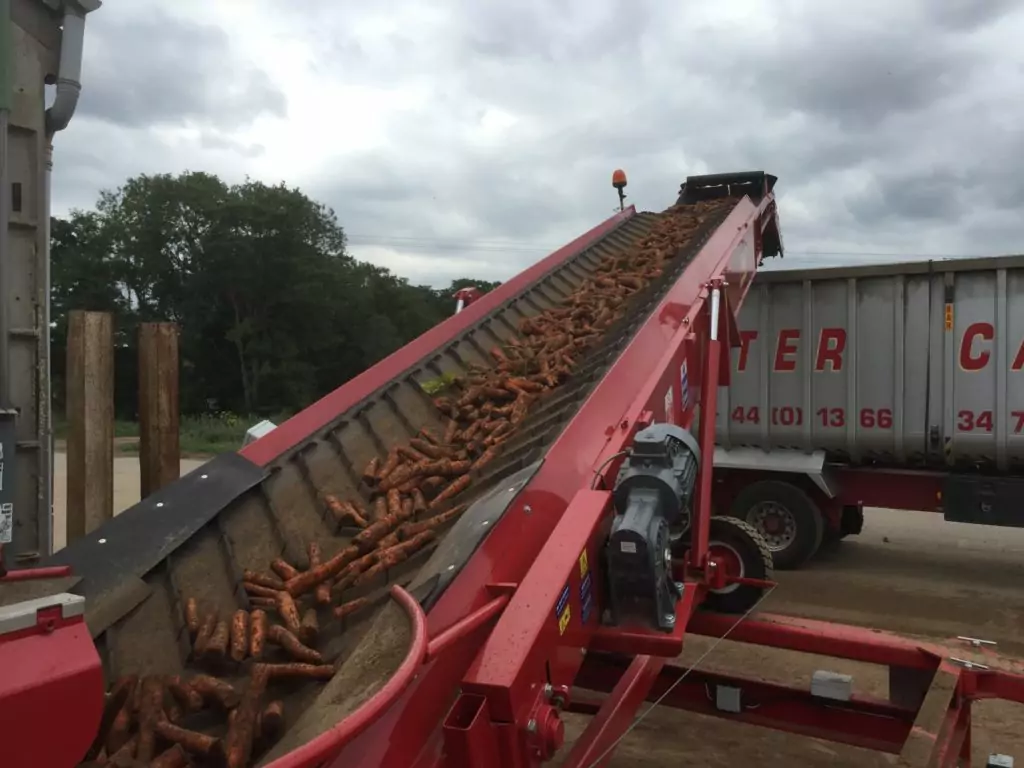 Fieldloader Elevator Vegetable Grading Sorting Carrots Potatoes Tong Engineering