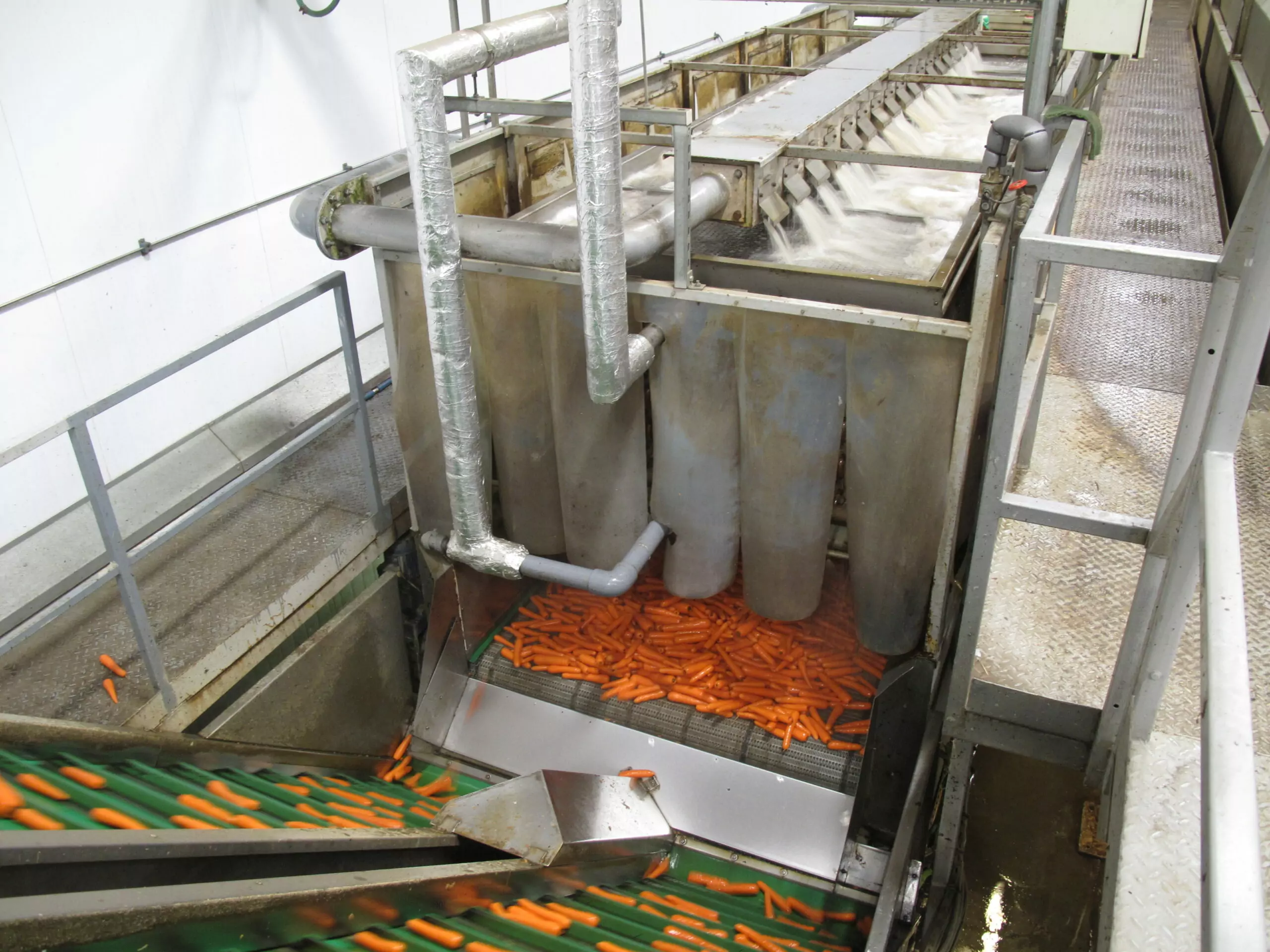 Tong-Carrot-Hydrocooler-Processing-Line-1-270x270