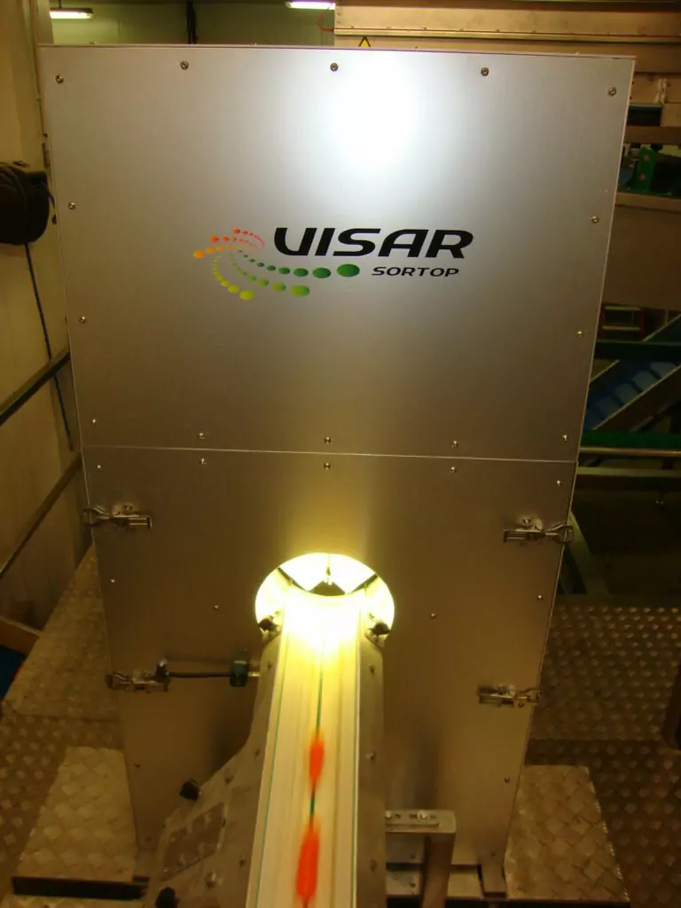 Visar Carrots Optical Sorting Tong Engineering