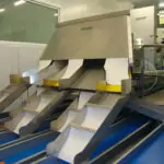 Visar Carrots Optical Sorting Tong Engineering