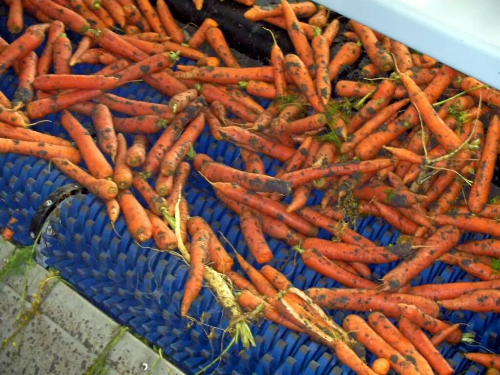 Vegetable Star Cleaner - Carrot cleaning