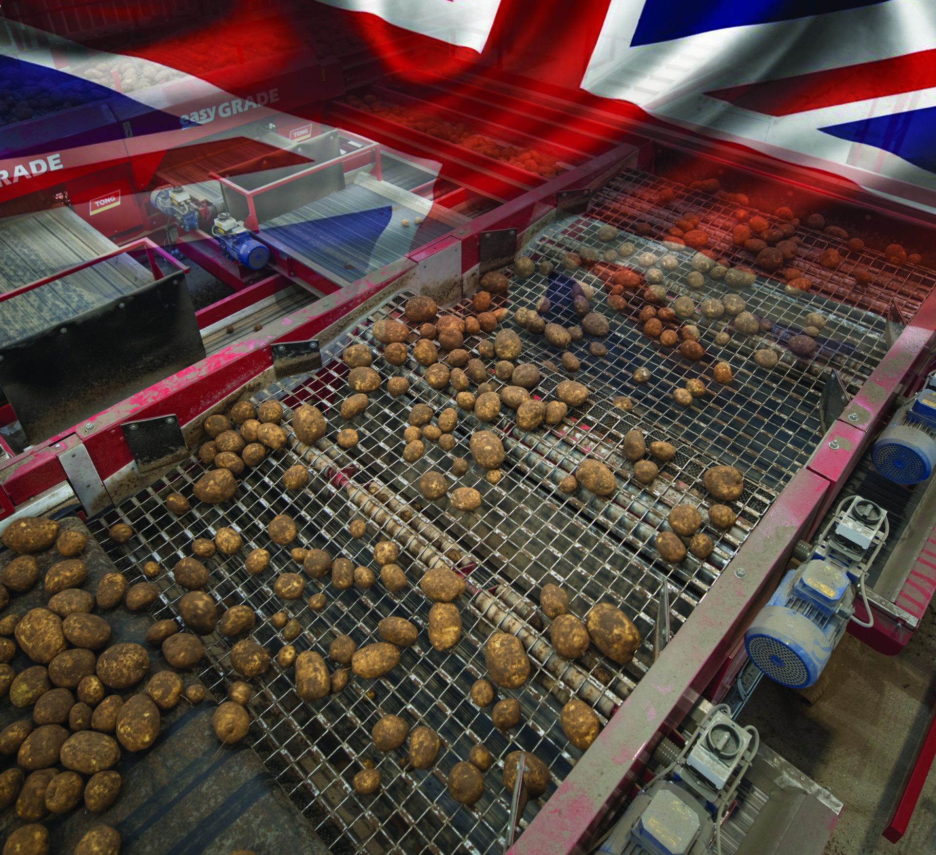 Tong Potato Grading Line Brexit