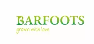 Barfoots