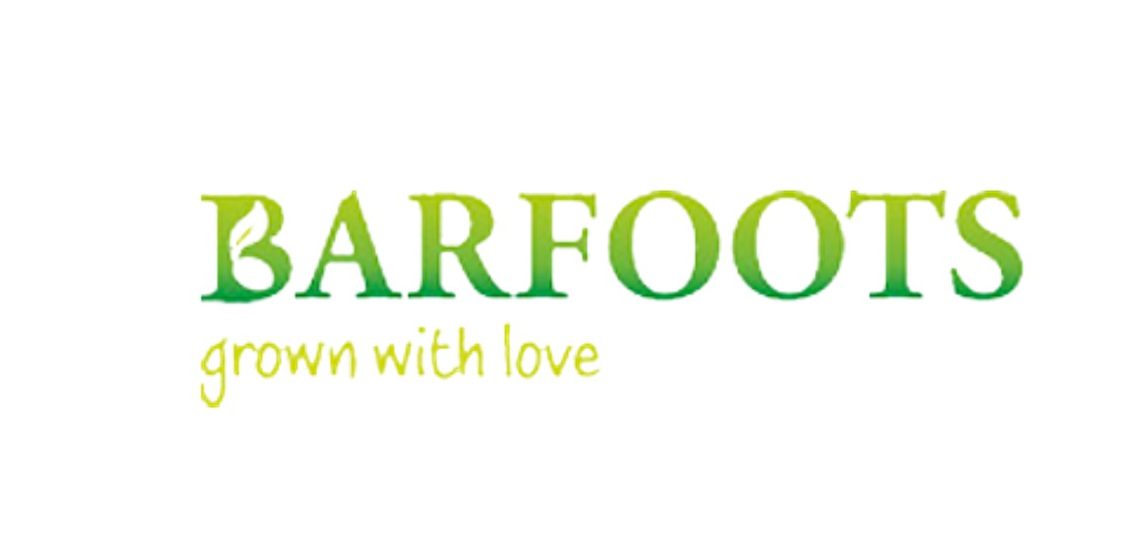 Barfoots