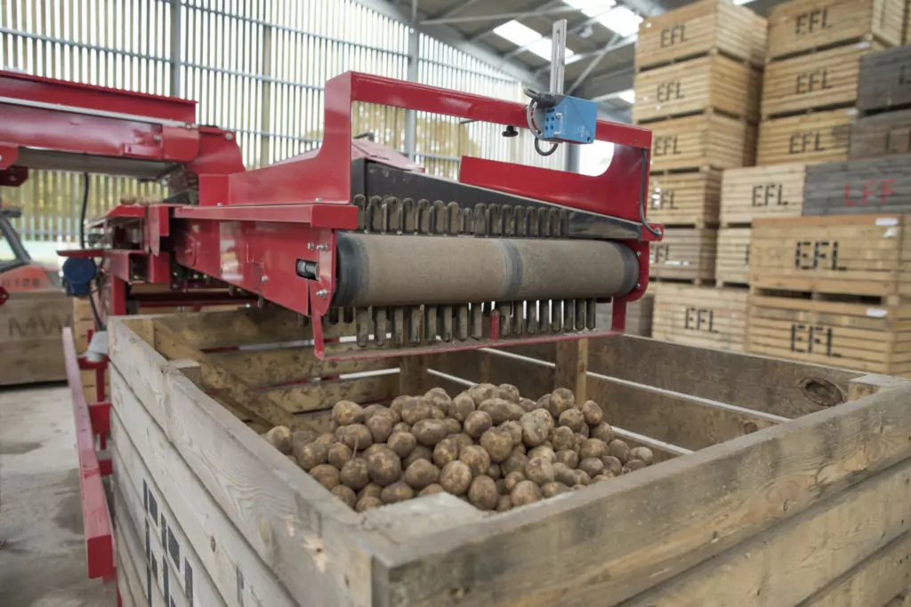 Elveden-Caretaker-potato-grading-mobile-portable-grader-sorter-even-flow-potato-box-bin-filling-54-1-1024x683