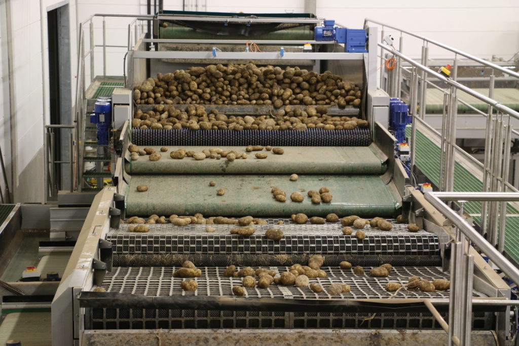 lev-sweden Tong Grader Vegetable Grading Potatoes