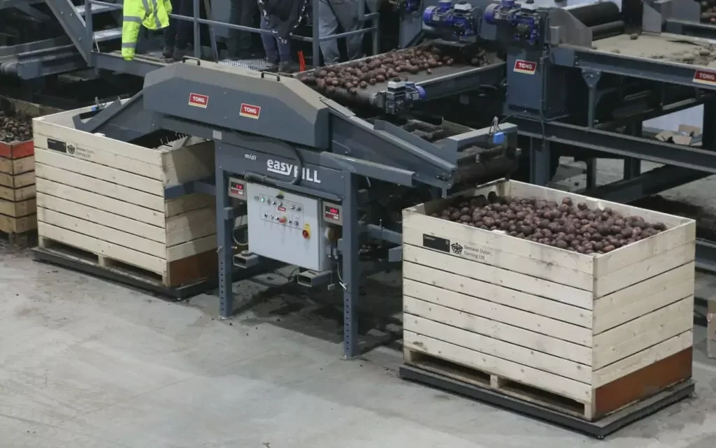 EasyFill box filler potato onion box filling