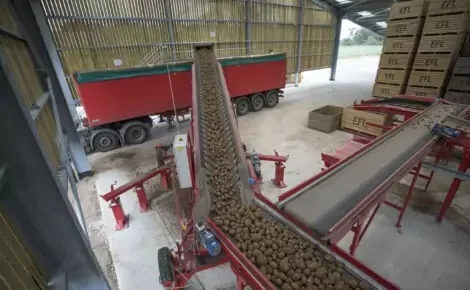 Tong Mobile Elevator | Storeloading | Tong Engineering