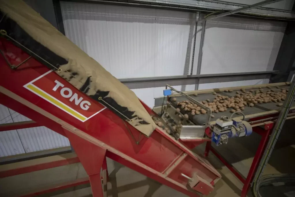 Tong Potato Elevator