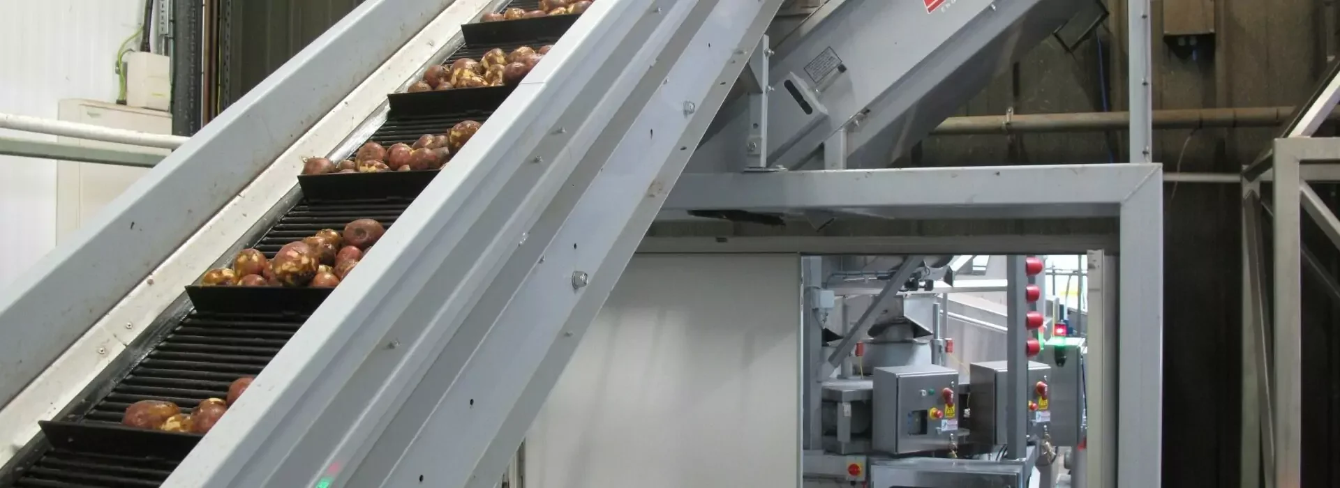 Potato Handling & Processing Line - Tong Elevator