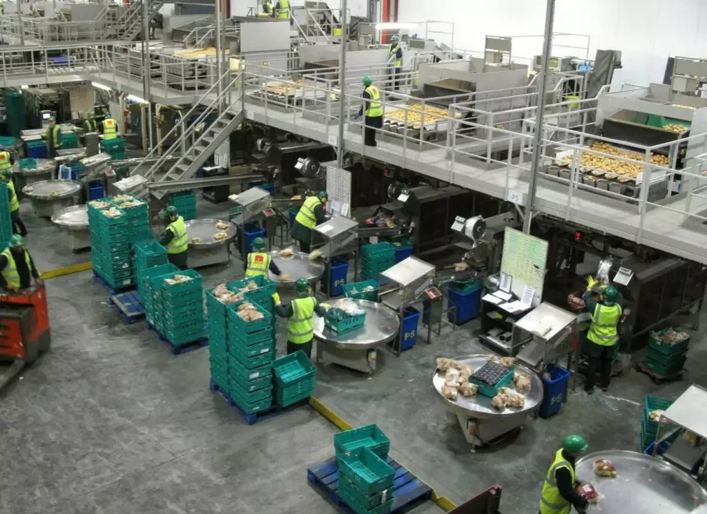 PACKHOUSE ROTARY PACKING TABLES