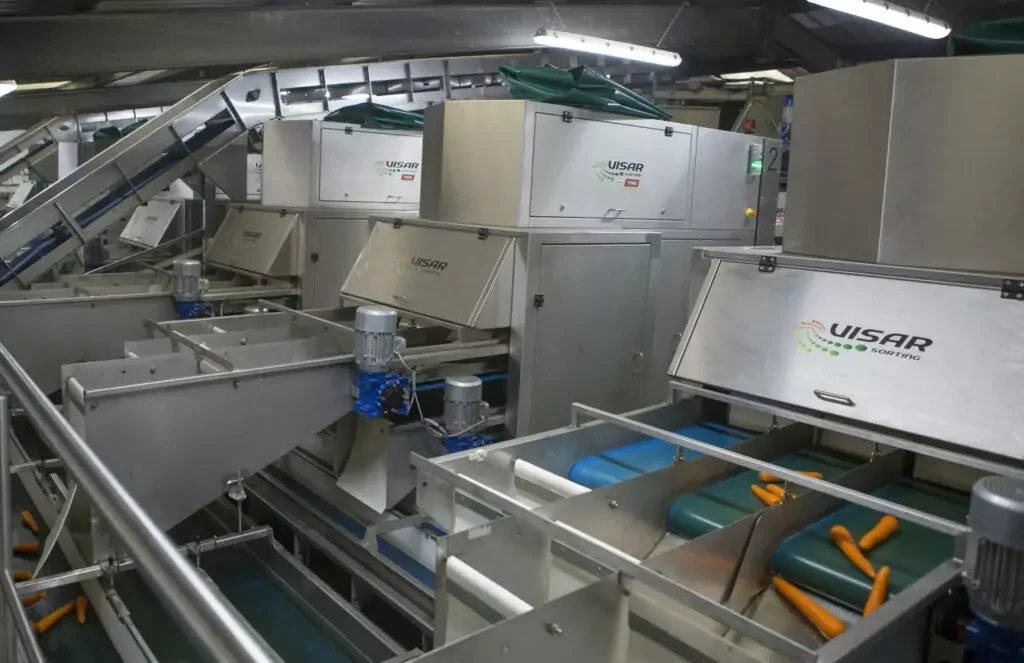 Visar Carrot optical sorting technology