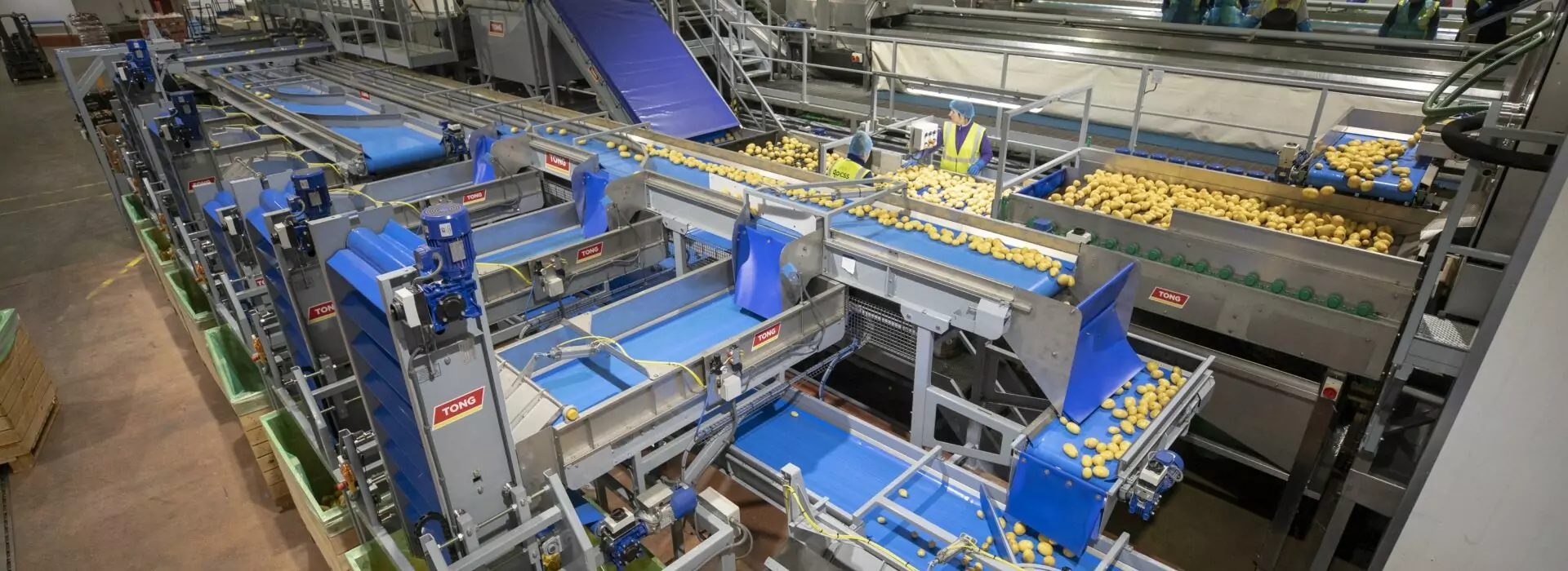 Tong potato carrot washing processing equipment | Potato handling advances | Tong Engineering