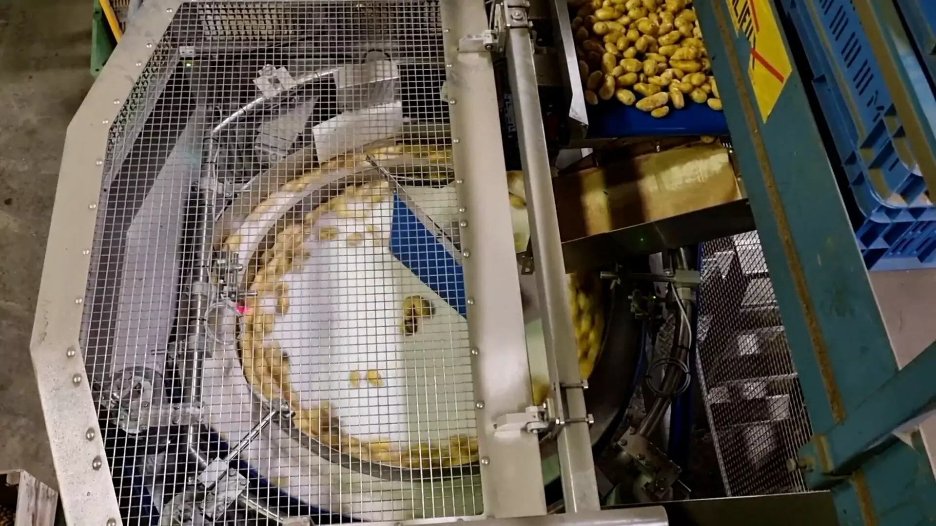 VISAR potato optical sorter