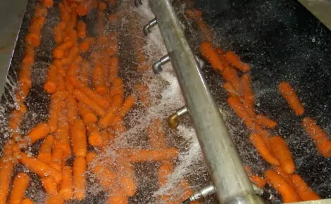 Tong U-Brush vegetable polisher potato carrot polishing