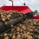 FieldLoad Pro Potato Sorting | Potato Loader | Tong Engineering
