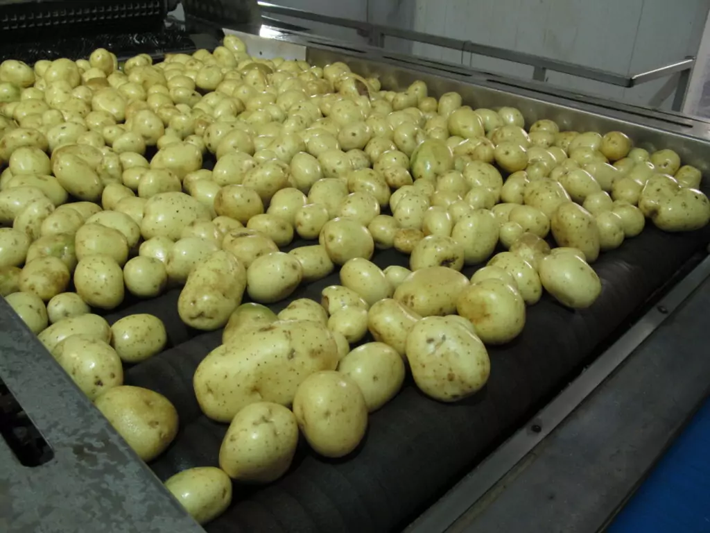 Tong Potato vegetable dryers