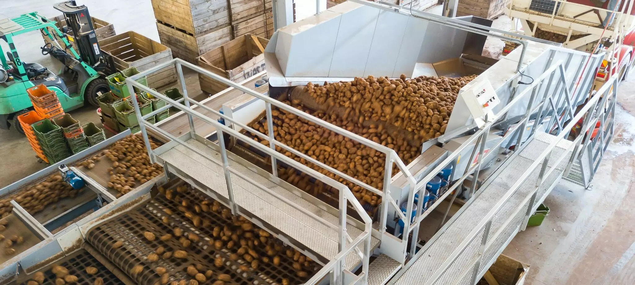 Storemaker potatoes into store cleaning grading
