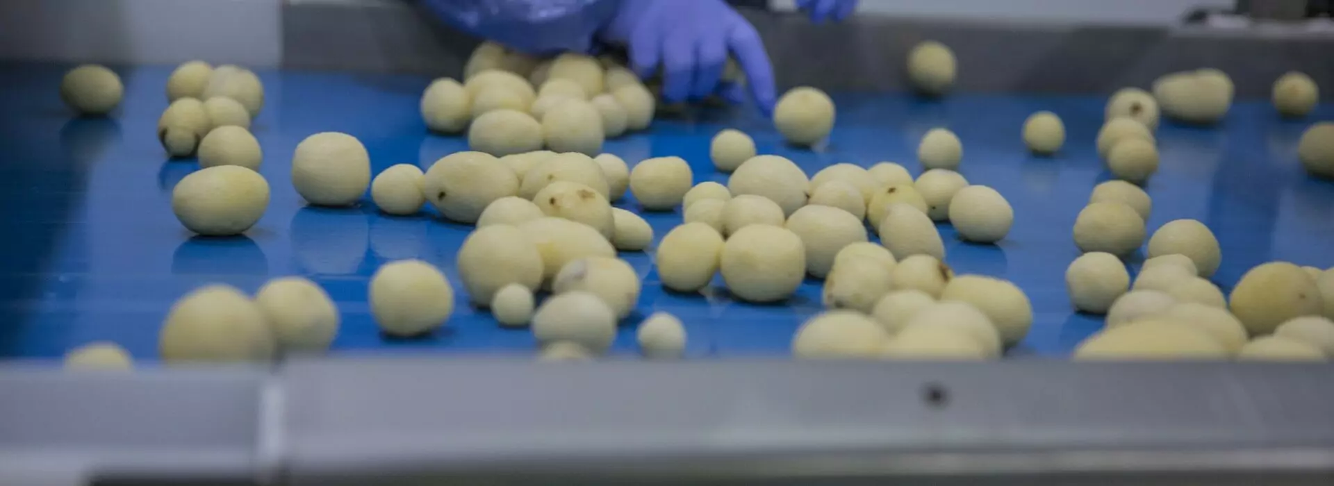 Tong Potato Processing Peeling Handling Equipment