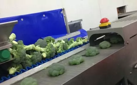 Broccoli Trimming Line Tong Engineering Vegetable Packing