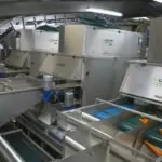 Visar Carrot optical sorting technology