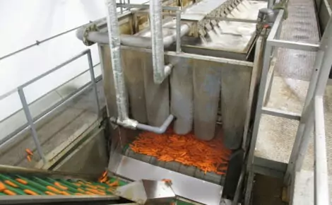 Tong-Carrot-Hydrocooler-Processing-Line-1-270x270