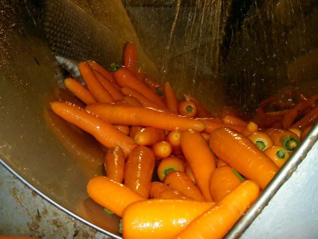 Martin Maq vegetable polisher carrots (1)