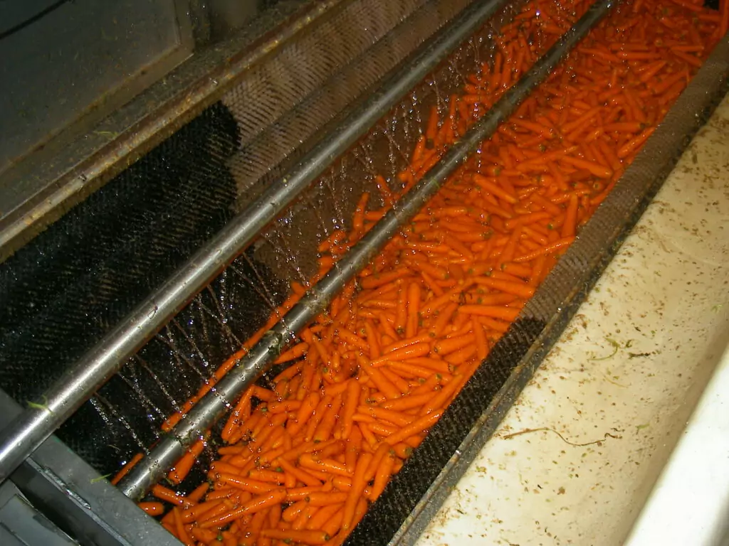 Martin Maq vegetable polisher carrots (8)