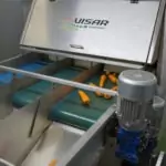 Visar Carrots Optical Sorting Tong Engineering