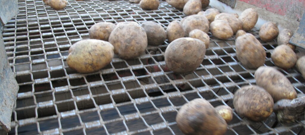 Potato Grading Screen Caretaker Grader from Tong (5)