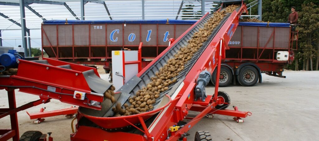 Potato Grading Bulker Elevator Loading