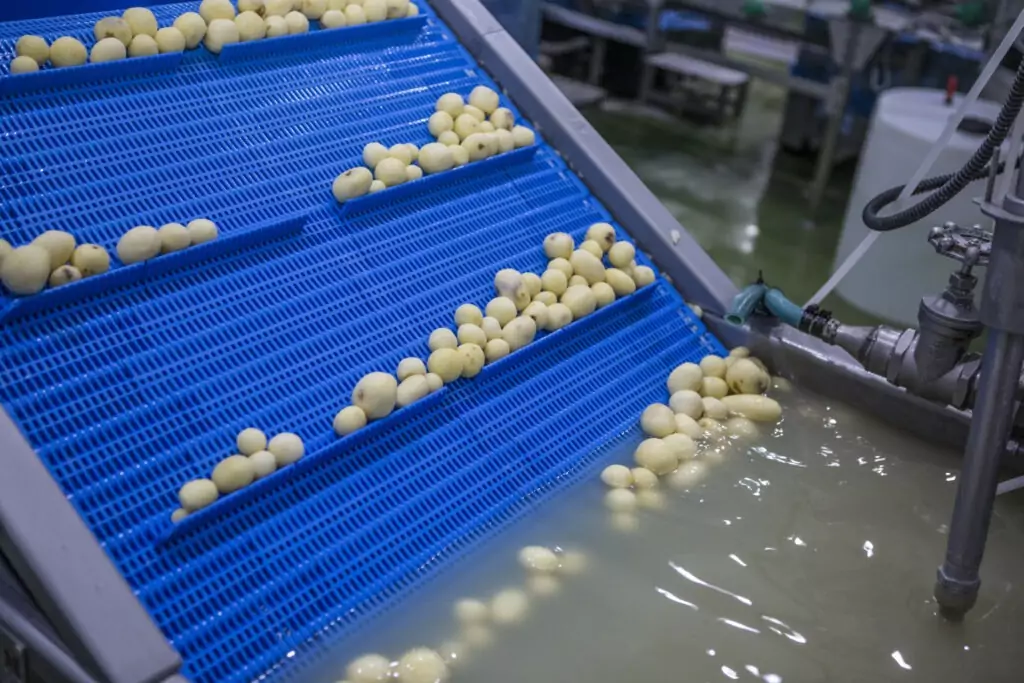 Potato Processing Washing Peeling Lines Tong Engineering (2)