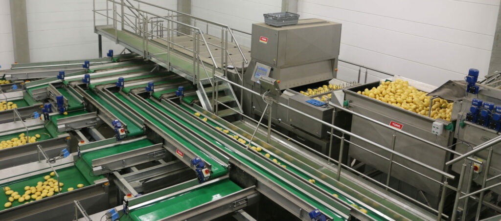 Tong Potato Washing Grading Optical Sorting Line