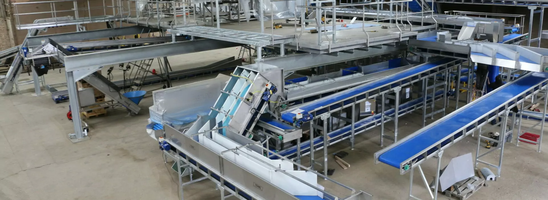 TOng Poskitts Carrot Optical Sorting Handling Lines