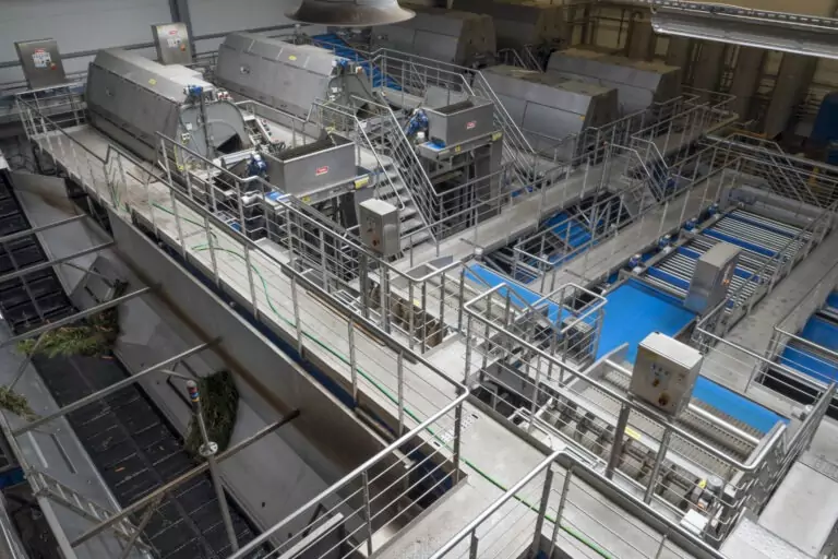 tong-polfarm-carrot-grading-washing-processing-line-4