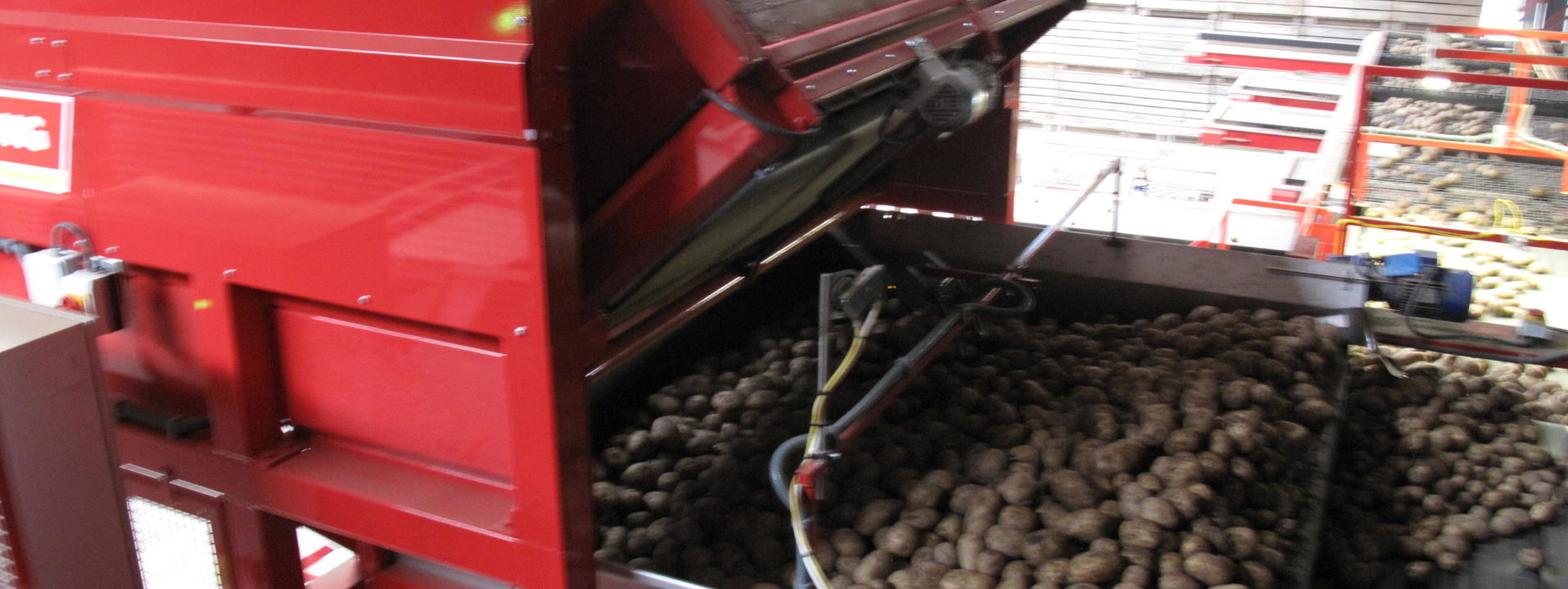 tong-potato-and-vegetable-box-tipper-machine