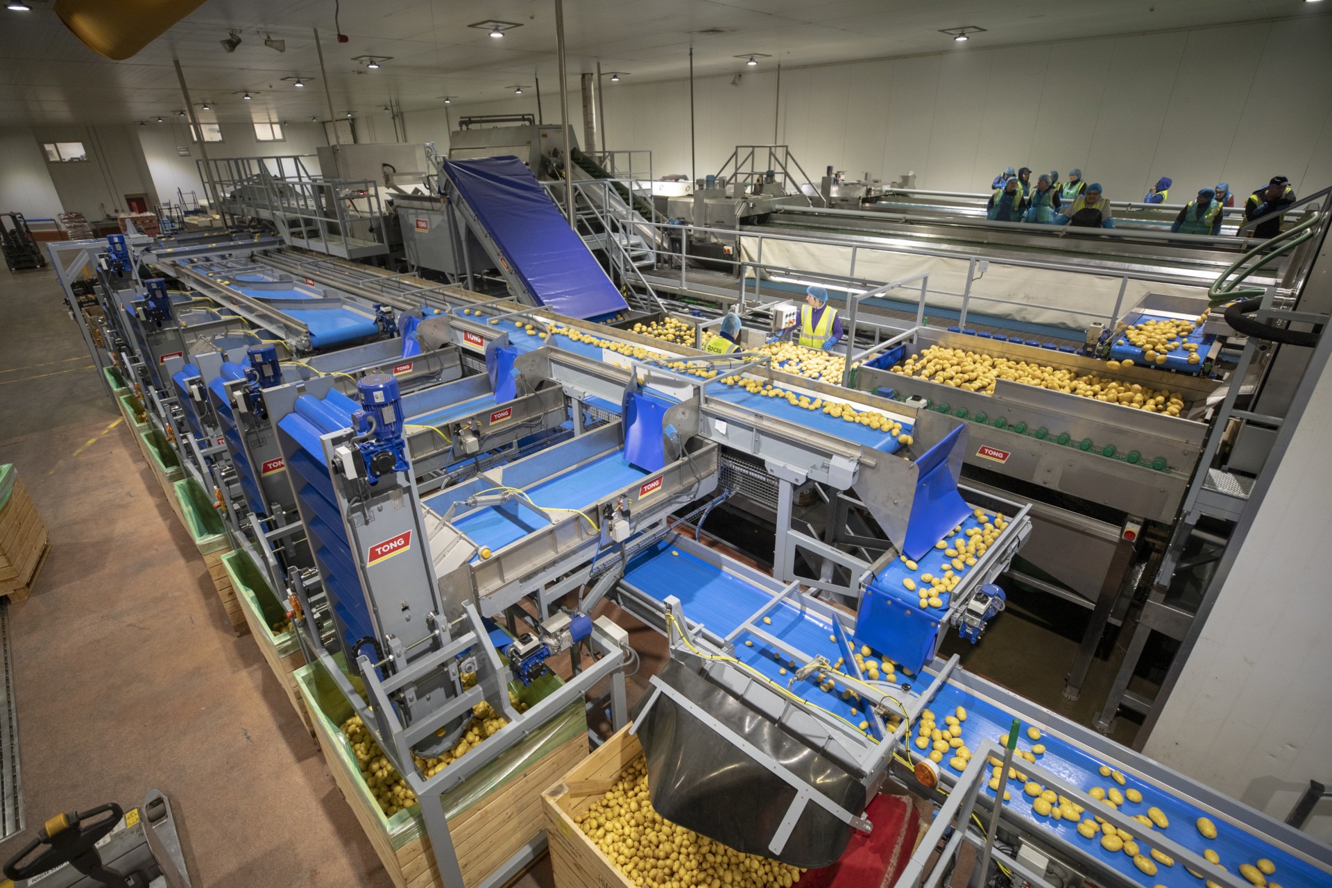 Tong potato carrot washing processing equipment | Potato handling advances | Tong Engineering