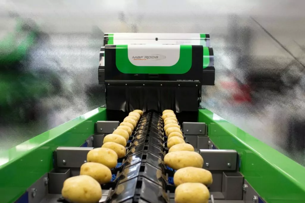 MAF Roda Internal External Potato Optical Sorting