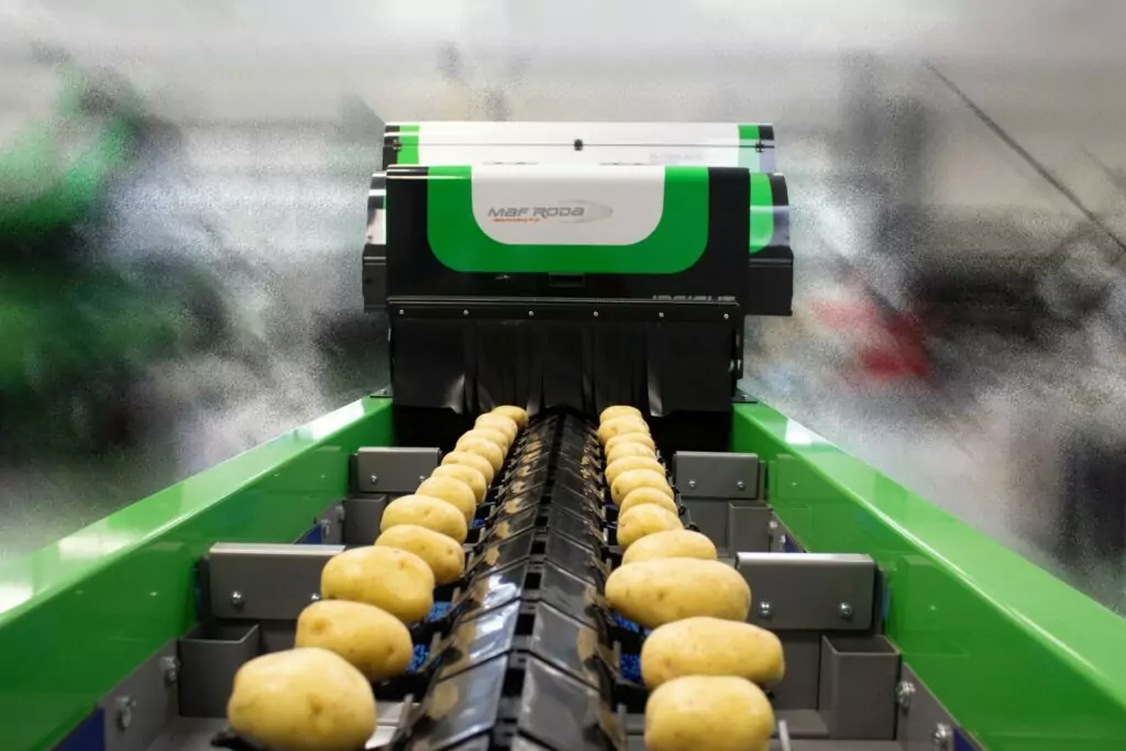 MAF RODA Potato and Onion Optical Sorting | Tong Engineering