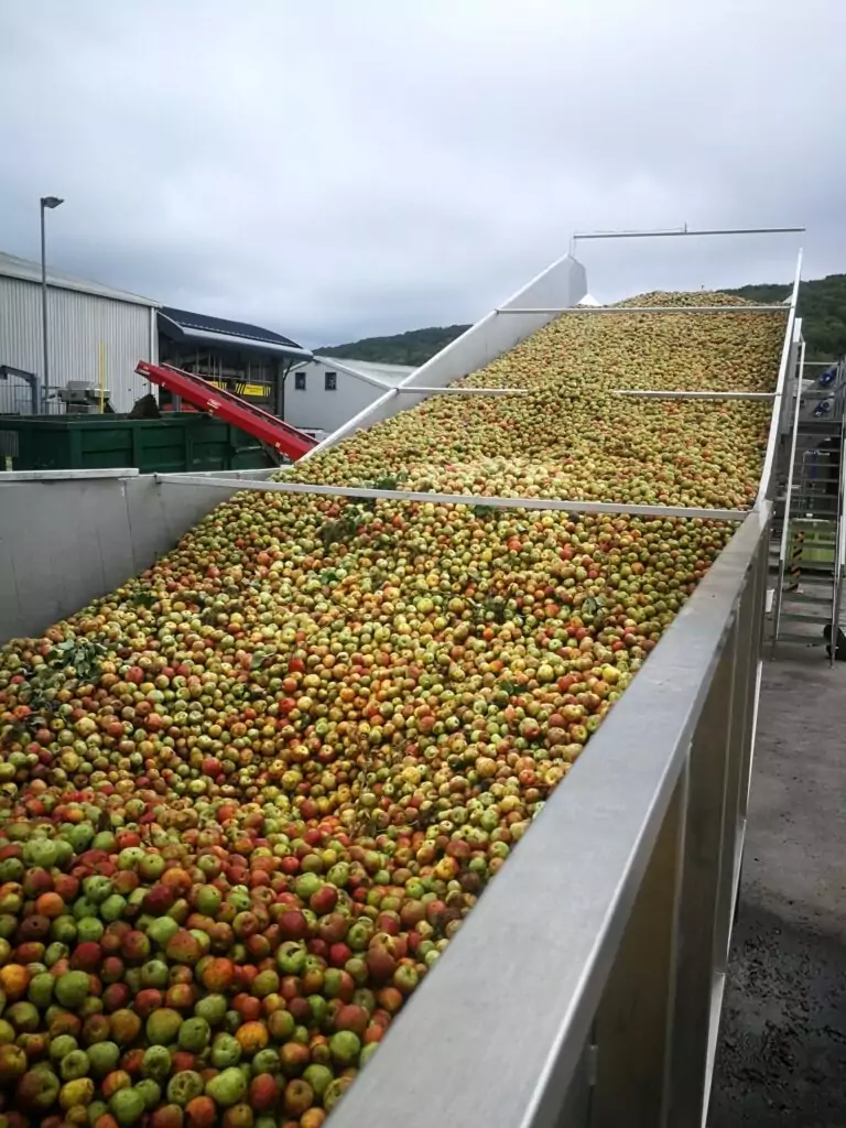 In Feed Hopper Apples