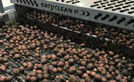 Vegetable cleaning | Tong Engineering