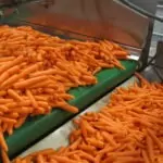 Potato carrot onion even flow hopper