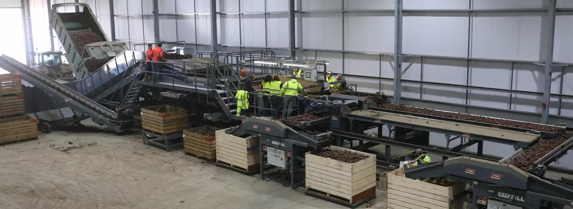 Tong Caretaker DYson Farming Nocton Potato Days